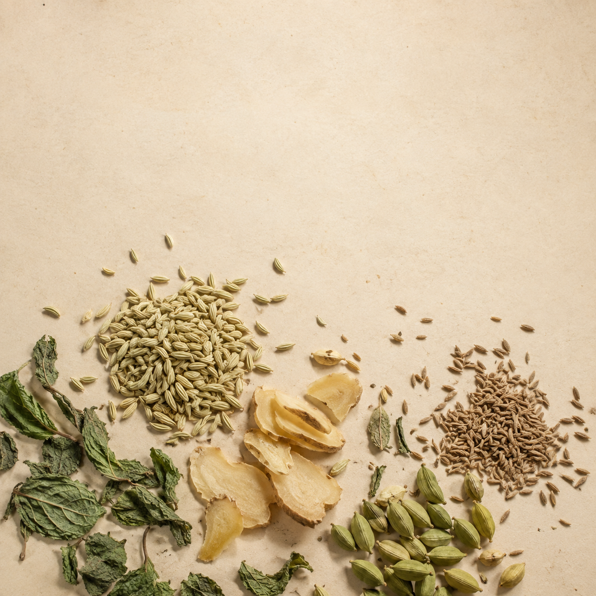 Dried ginger slices with fennel seeds, cumin and cardamom pods on a pale surface