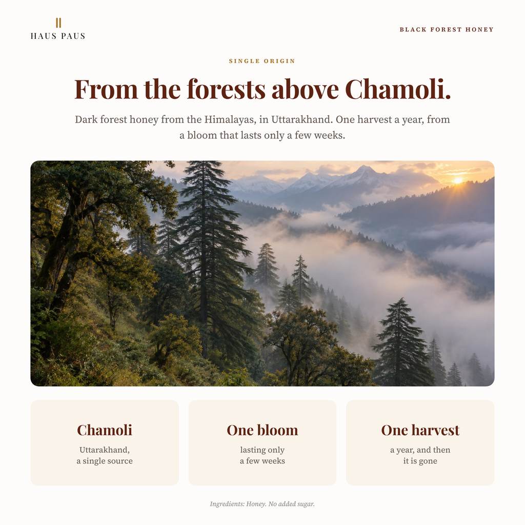 The Himalayan forest above Chamoli in Uttarakhand, the single source of Haus Paus Black Forest Honey