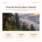 The Himalayan forest above Chamoli in Uttarakhand, the single source of Haus Paus Black Forest Honey