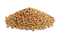 Coriander Seeds