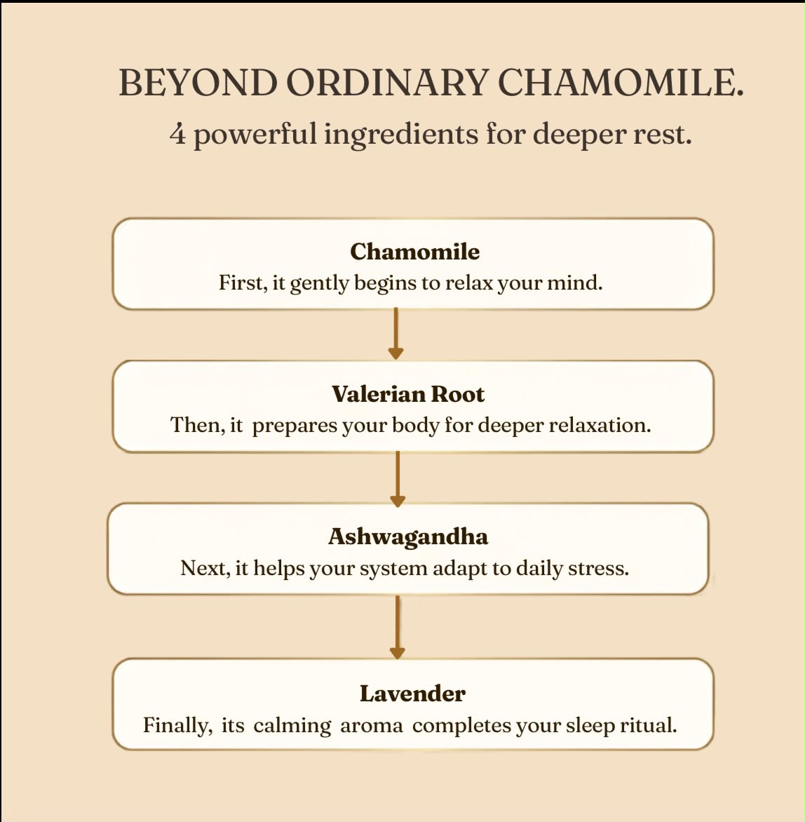 UNWIND · The Relaxation Ritual