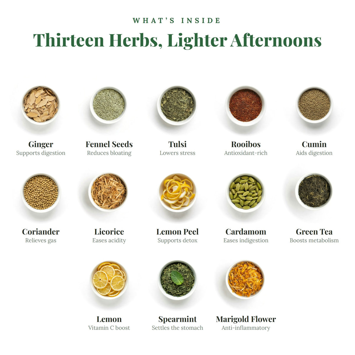 Thirteen herbs inside EASE: ginger, fennel seeds, tulsi, rooibos, cumin, coriander, licorice, lemon peel, cardamom, green tea, lemon, spearmint and marigold flower