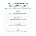 Four key ingredients in EASE: ginger, fennel seeds, spearmint and tulsi