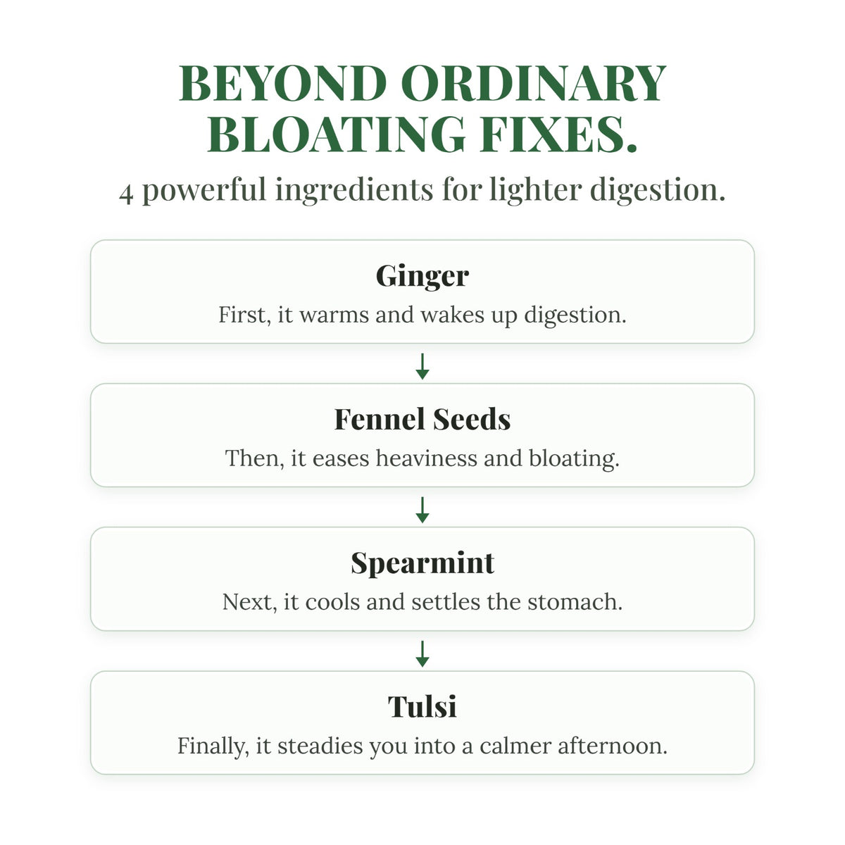 Four key ingredients in EASE: ginger, fennel seeds, spearmint and tulsi