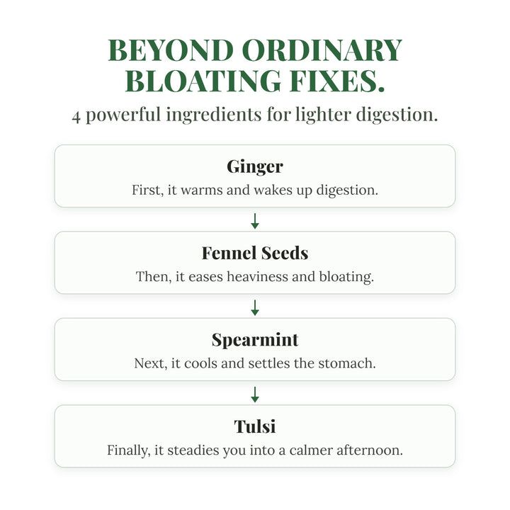Four key ingredients in EASE: ginger, fennel seeds, spearmint and tulsi
