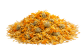 Marigold Flower