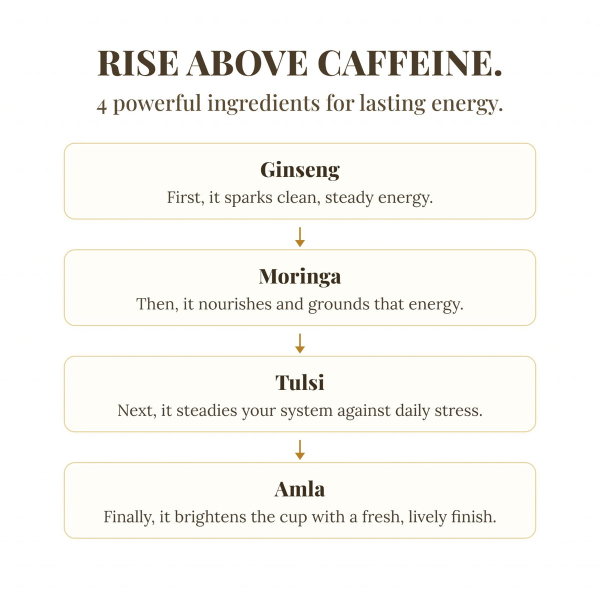 Four key ingredients in UPLIFT: ginseng, moringa, tulsi and amla